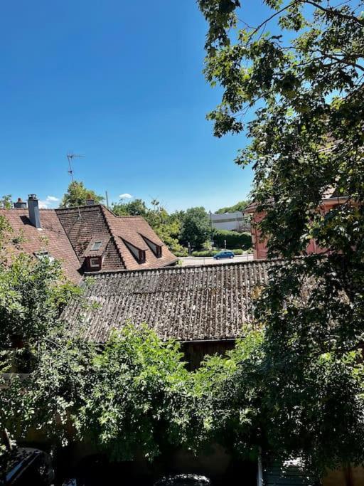 Apartment De Charme Alsacien, Centre Historique Selestat