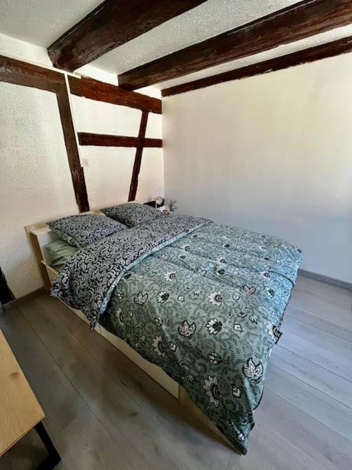 De Charme Alsacien, Centre Historique * Selestat